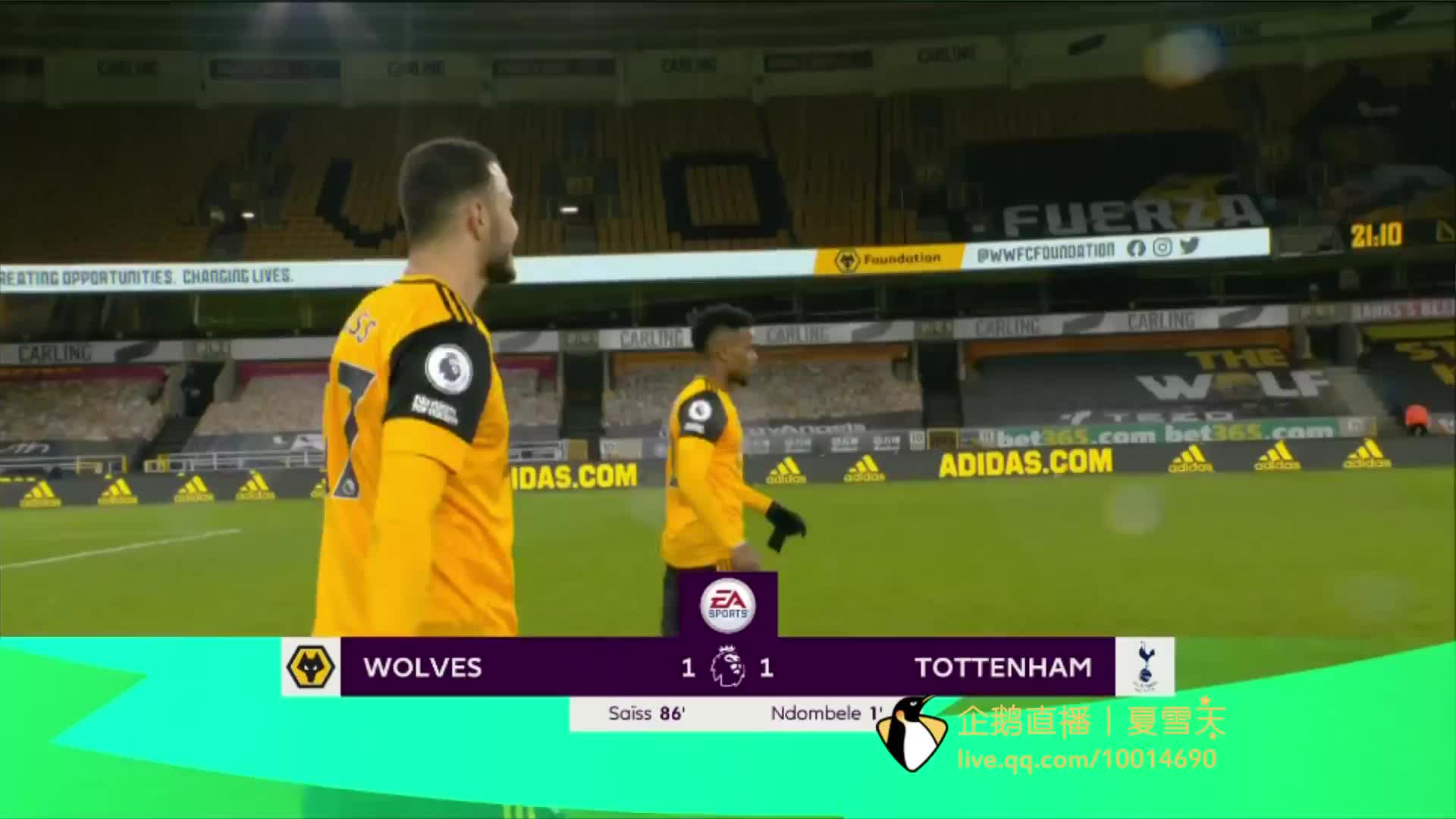 看到佩德罗 看到佩德罗